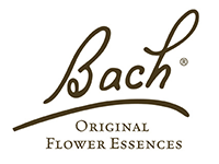 Bach Bachblüten Freiburg Apotheke